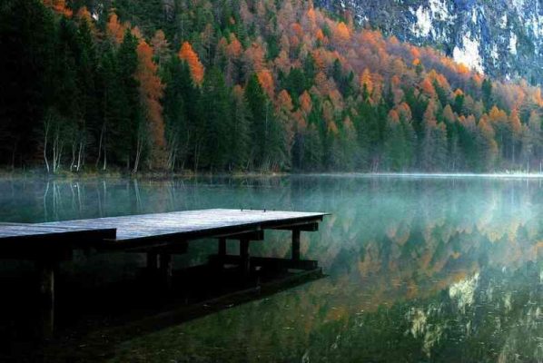 Forest Dock Landscape Paint By Numbers