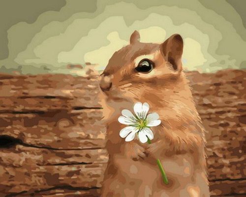 Squirrel with Flower  Animals Paint By Numbers