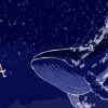 Galaxy Whale Animals Paint By Numbers