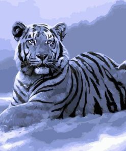White Tiger Laying Down Animals Paint By Numbers