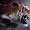 Angry Tiger Animals Paint By Numbers