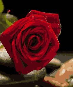 Red Flower DIY Paint By Numbers