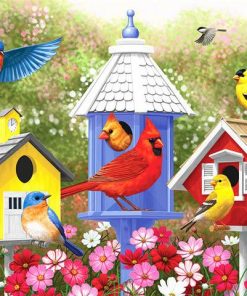 Spring Birdhouses Birds Paint By Numbers