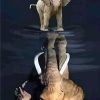 Elephant Reflection Animals Paint By Numbers