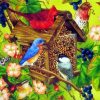 Colourful Bird Houses Birds Paint By Numbers