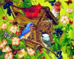 Colourful Bird Houses Birds Paint By Numbers