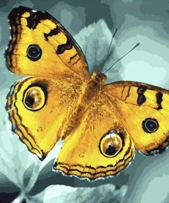 Yellow Butterfly Animals Paint By Numbers