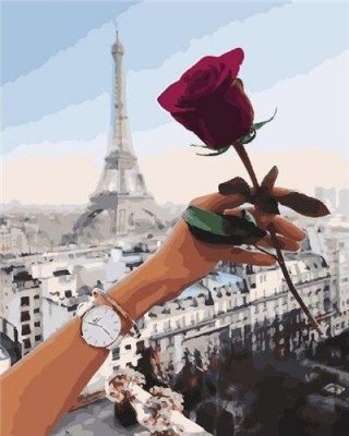 Red Rose Paris Cities Paint By Numbers