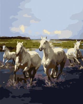 Wild White Horses Animals Paint By Numbers