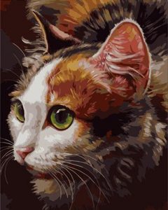 Cool Cat Animals Paint By Numbers