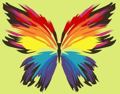Rainbow Butterfly Animals Paint By Numbers