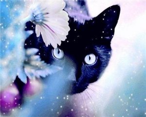 Black Cat in The Flowers Animals Paint By Numbers