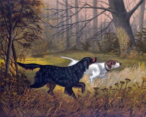Hunting Dogs Animals Paint By Numbers
