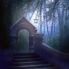 Moon Door In The Forest Landscape Paint By Numbers