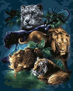 Big Cat Animals Paint By Numbers