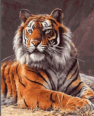 Old Tiger Animals Paint By Numbers