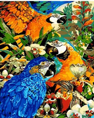 Three Beautiful Parrots Birds Paint By Numbers