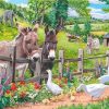 Donkey Goose Farm Animals Paint By Numbers
