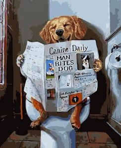 Dog On Toilet Animals Paint By Numbers