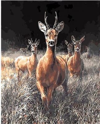 Grassland Deers  Animals Paint By Numbers