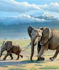 Mount Elephant Animals Paint By Numbers