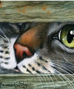 Cat Hiding Under Door Animals Paint By Numbers