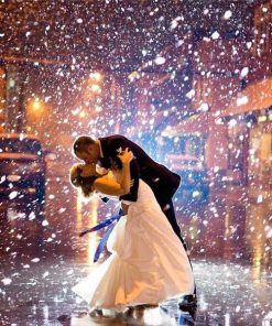 Newlyweds Under the Light Romance and Love Paint By Numbers