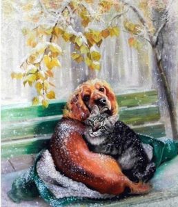 Cat and Dog in Winter Animals Paint By Numbers