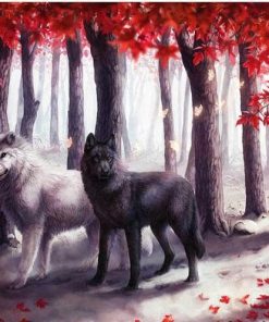 Black White Wolves Animals Paint By Numbers