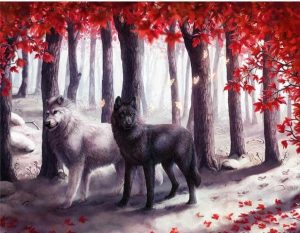 Black White Wolves Animals Paint By Numbers