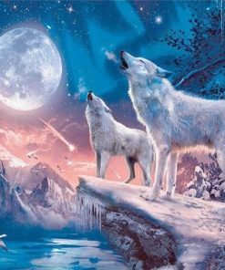 Northern Lights Wolf  Animals Paint By Numbers