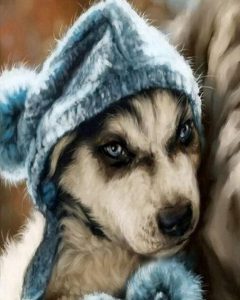 Dog In Bathrobe Animals Paint By Numbers