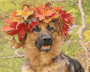 Dog With Decorative Flowers Animals Paint By Numbers