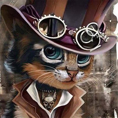 Pirate Cat Animals Paint By Numbers