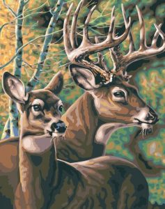 Deers Couple Animals Paint By Numbers