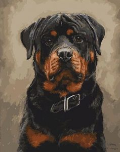 Black Dogs Home Decors - DIY Paint By Numbers - Numeral Paint