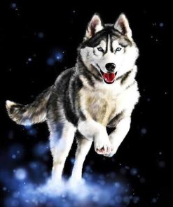 Huskies Animals Modern Painting - DIY Paint By Numbers - Numeral Paint