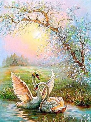 Swan Lovers Birds Paint By Numbers