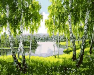Beautiful Tree  Landscape Paint By Numbers