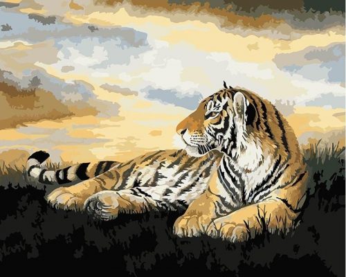 Tiger Animals Paint By Numbers