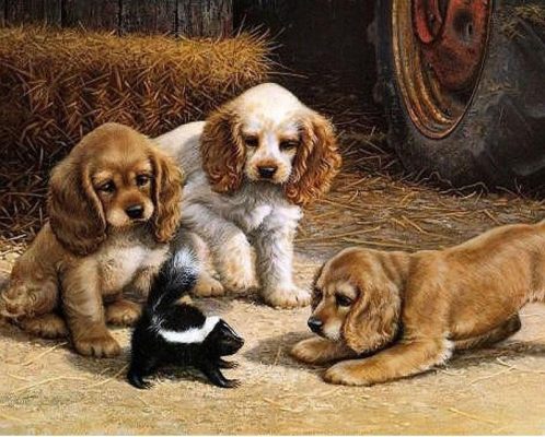 Dog Animals Kits Drawing Paint - DIY Paint By Numbers - Numeral Paint