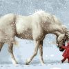 Snow Horse paint by numbers