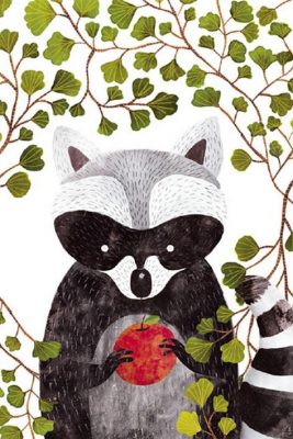 Raccoon and Apples Animals Paint By Numbers
