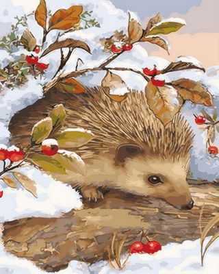 Winter Hedgehog  Animals Paint By Numbers