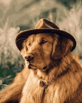 Mr dog  Animals Paint By Numbers