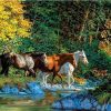Group of Horses Cross the river Animals Paint By Numbers