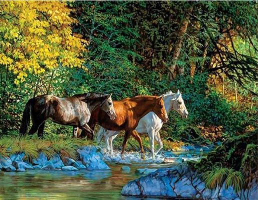 Group of Horses Cross the river Animals Paint By Numbers