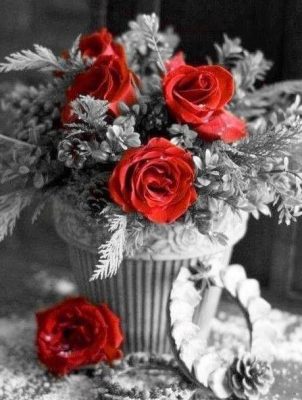 Vase of Red Flower on Black  Flowers Paint By Numbers