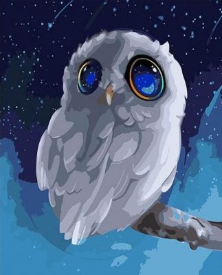 Night Oil Birds Paint By Numbers