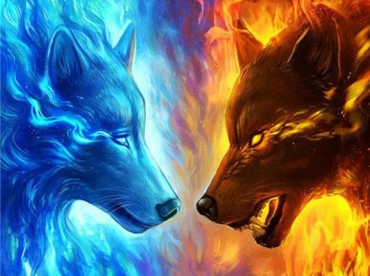 Fire and Ice Wolf Animals Paint By Numbers